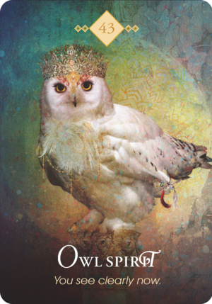 貓頭鷹之靈 Owl Spirit