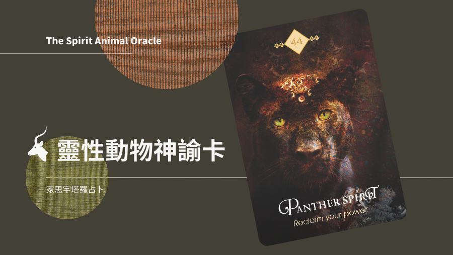 豹之靈 Panther Spirit