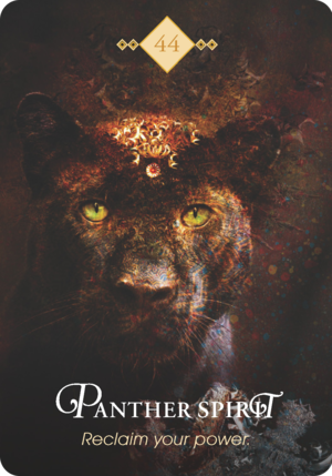 豹之靈 Panther Spirit