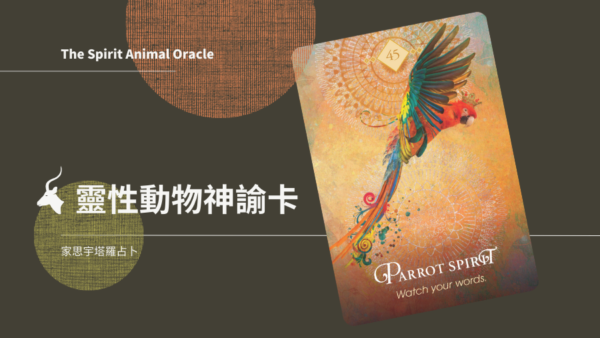 45 Parrot Spirit