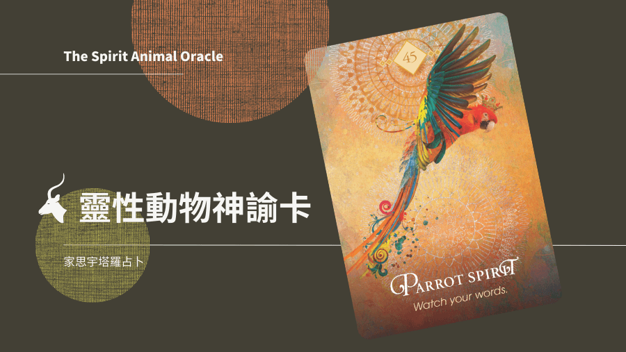 45 Parrot Spirit