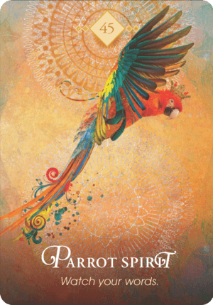 Parrot Spirit