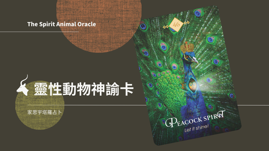 孔雀之靈 Peacock Spirit
