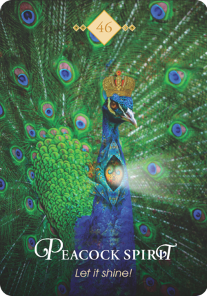 孔雀之靈 Peacock Spirit