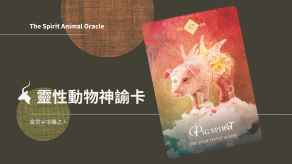 豬之靈 Pig Spirit
