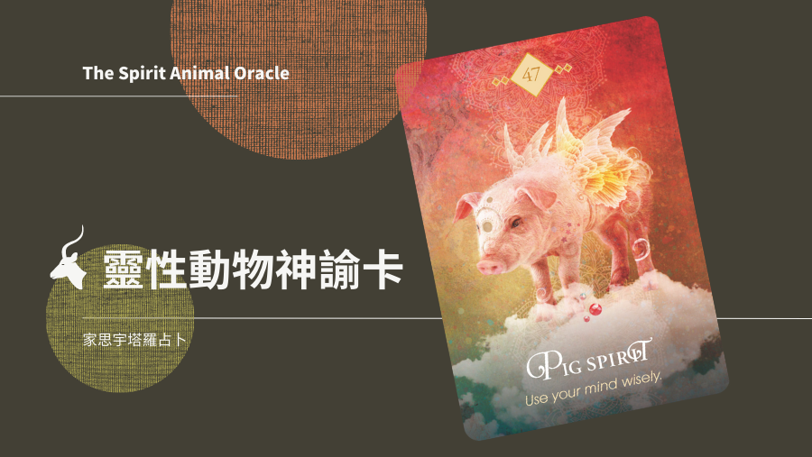 豬之靈 Pig Spirit