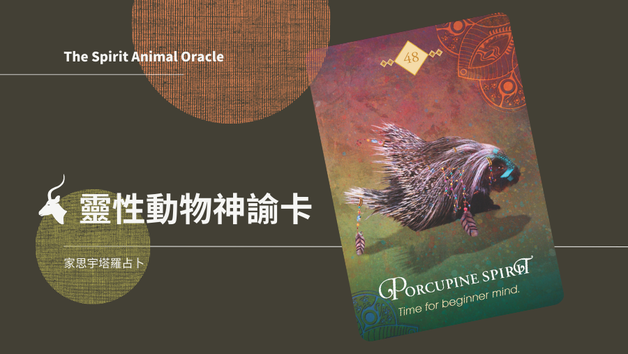 豪豬之靈 Porcupine Spirit