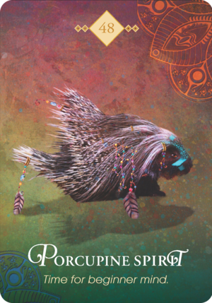 豪豬之靈 Porcupine Spirit