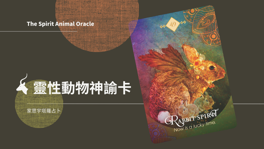 兔子之靈 Rabbit Spirit