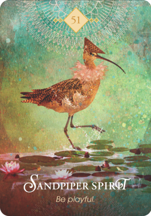 鷸之靈 Sandpiper Spirit
