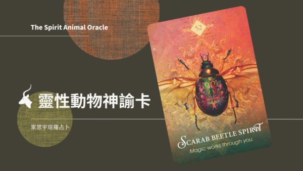 聖甲蟲之靈 Scarab Beetle Spirit