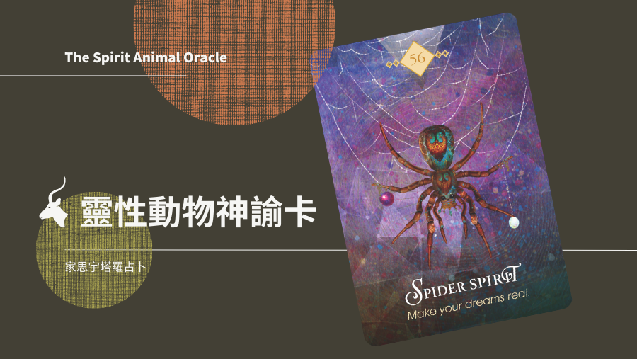 蜘蛛之靈 Spider Spirit