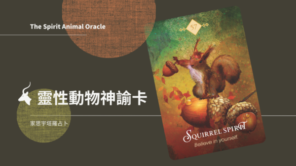松鼠之靈 Squirrel Spirit
