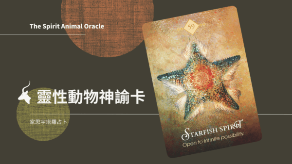 海星之靈 Starfish Spirit