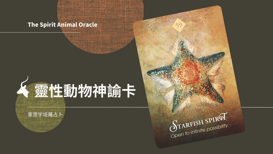 海星之靈 Starfish Spirit