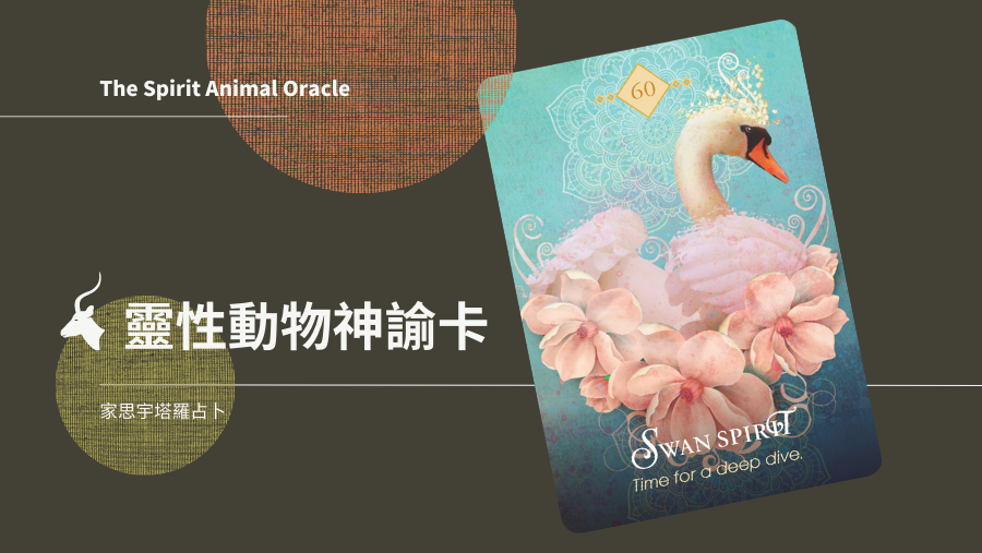 天鵝之靈 Swan Spirit