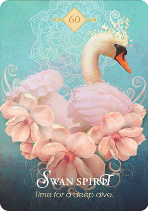 天鵝之靈 Swan Spirit