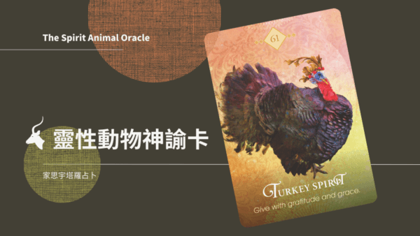 火雞之靈 Turkey Spirit