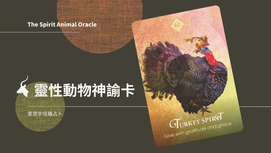 火雞之靈 Turkey Spirit