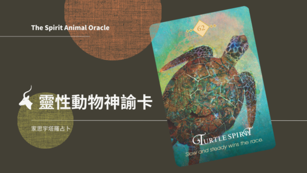 烏龜之靈 Turtle Spirit