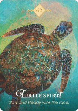 烏龜之靈 Turtle Spirit