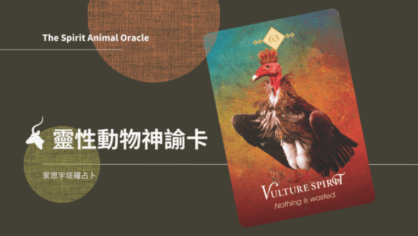 禿鷹之靈 Vulture Spirit