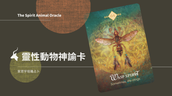 64.黃蜂之靈神諭卡牌義全解析：開啟 Wasp Spirit 的覺醒與創造指引