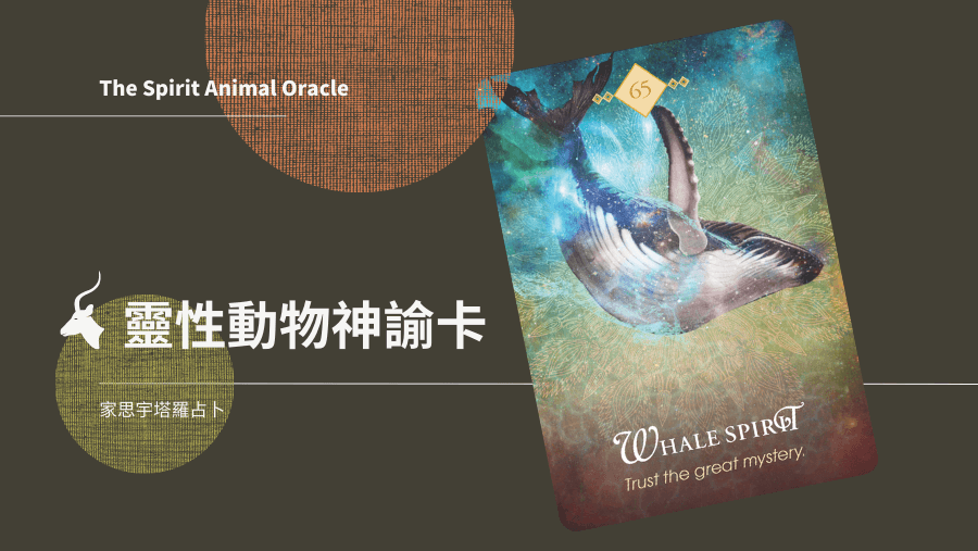 鯨魚之靈 Whale Spirit