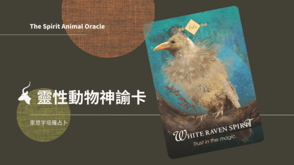白鴉之靈 White Raven Spirit