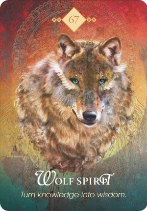 狼之靈 Wolf Spirit