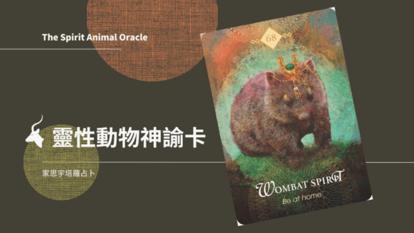 袋熊之靈 Wombat Spirit